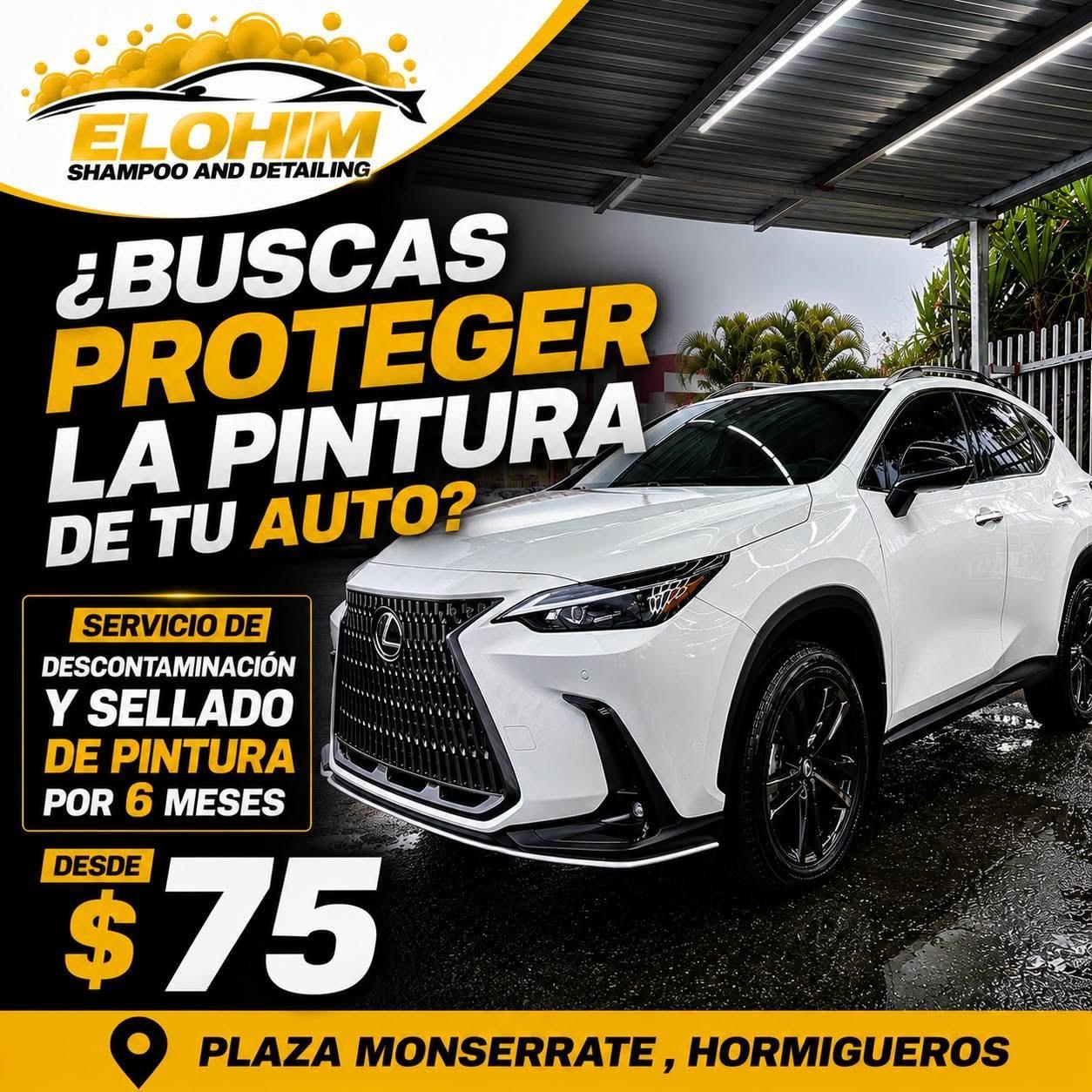 Trabajo de detallado automotriz realizado por Elohim, imagen 43